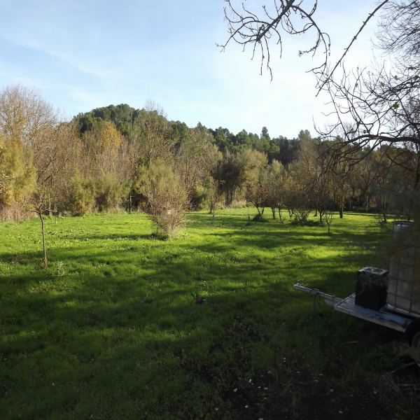 Offres de vente Terrain Sigean 11130