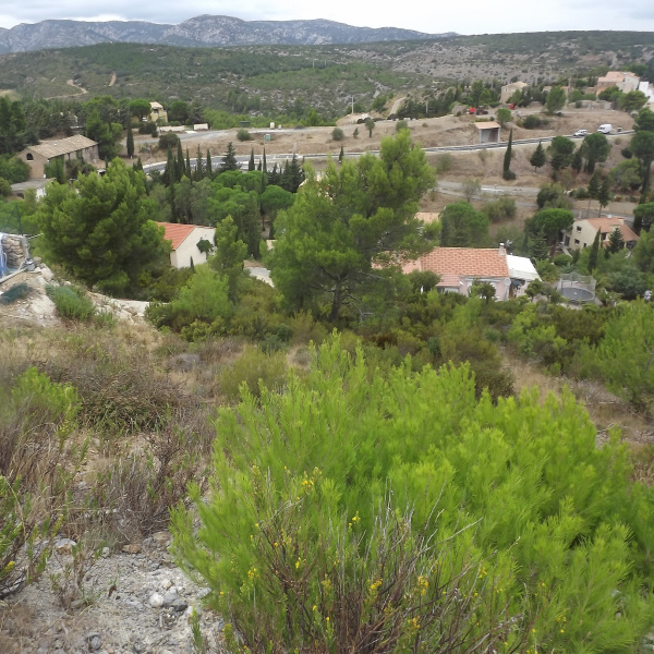 Offres de vente Terrain Treilles 11510